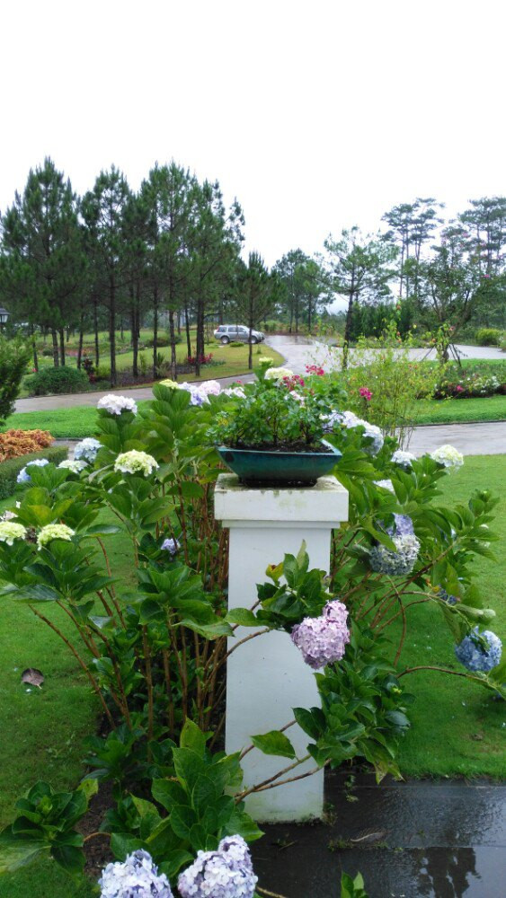 Dalat Train Villa & Cafe