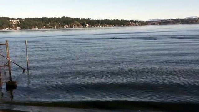 马修斯海滩公园