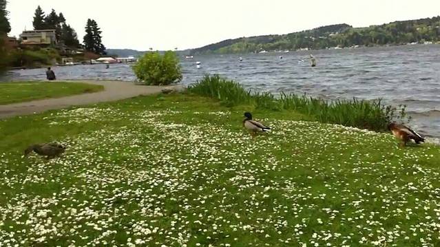 马修斯海滩公园