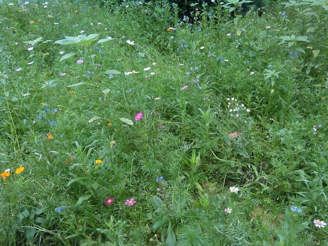 温州市景山森林公园