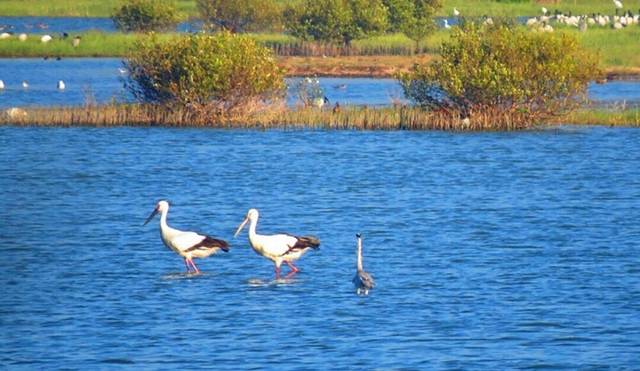 鳌鼓湿地森林园区