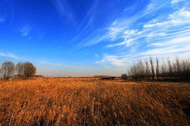 孟津黄河湿地自然保护区