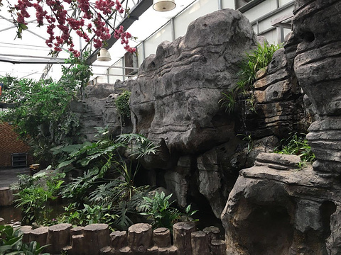 2019星期九休闲生态农庄_旅游攻略_门票_地址_游记点评,宁波旅游玩乐