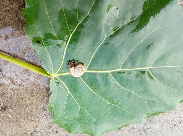 临港经济区生态湿地公园