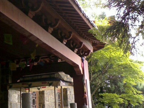 2018黄庙_旅游攻略_门票_地址_游记点评,莫干山旅游景点推荐 - 去哪儿