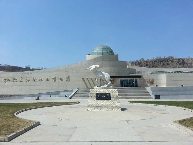 和政古生物化石文旅旅游区·古动物化石博物馆