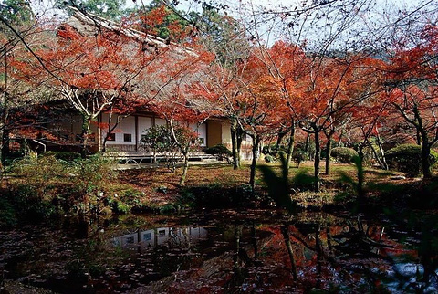 神埼郡旅游攻略2024神埼郡自助游周边自驾游玩攻略自由行吃喝玩乐指南去哪儿攻略