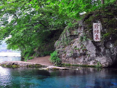 珍珠泉风景区旅游景点图片