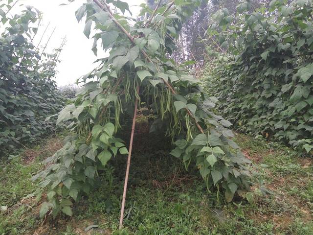 骆騋山风景名胜区