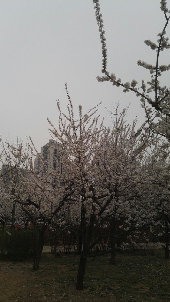 河北习三内画博物馆