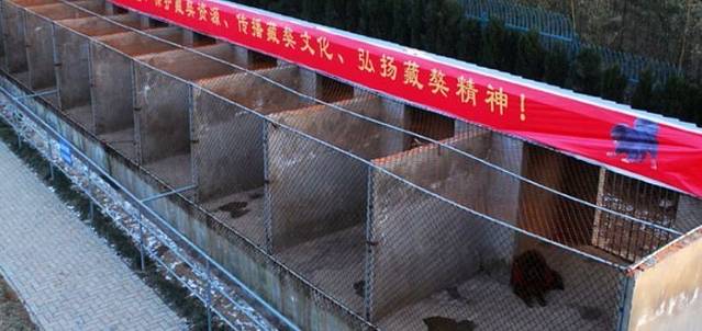 中国藏獒观赏园总园