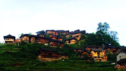 六枝梭嘎长角苗