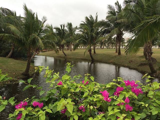海口锦都海甸岛