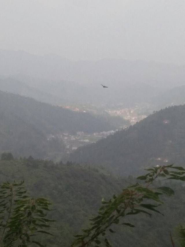 七目嶂生态旅游区