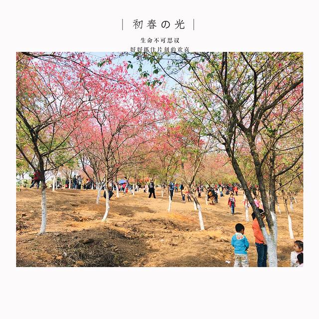 广东大王山国家森林公园