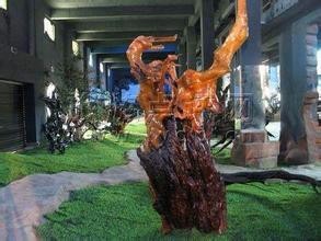 海南天涯热带雨林博物馆