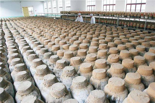 山东即墨妙府老酒有限公司