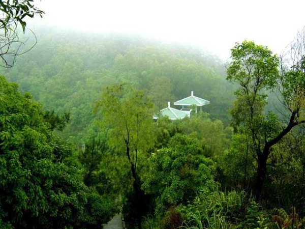 黄岐山森林公园