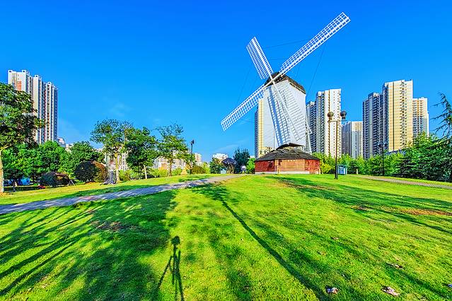 关山荷兰风情园