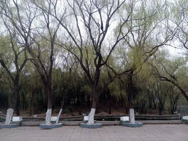 双月湖国家城市湿地公园