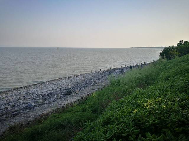 月亮湾湿地公园