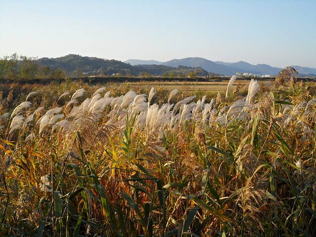 顺天湾自然生态公园
