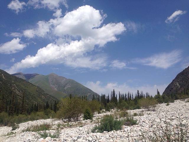 阿拉尔恰国家森林公园