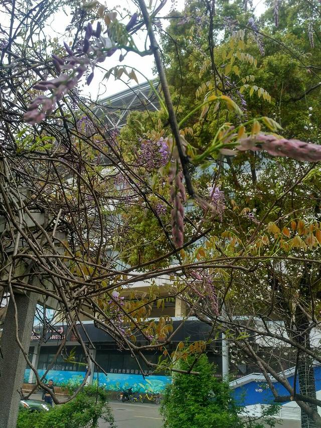 亞力山大蝴蝶生態教育農場