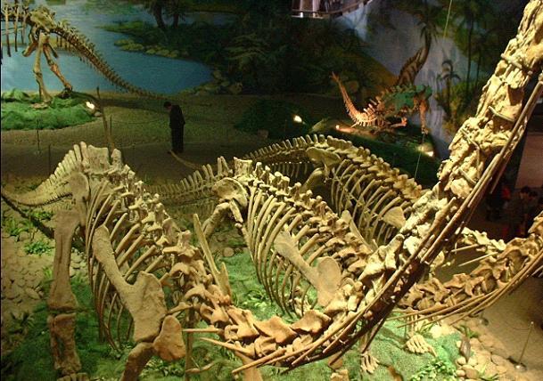 恐龙博物馆