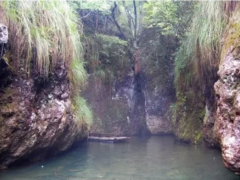 蝠王洞天旅游景点图片