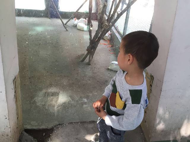 南屏山森林公园