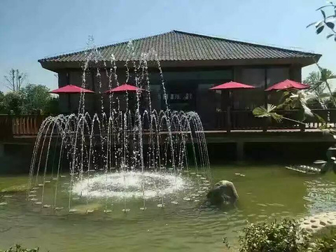 金雨玫瑰温泉度假区