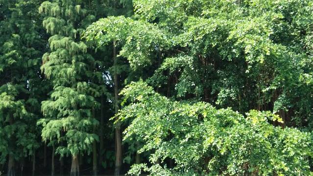 中山仙人掌大峡谷