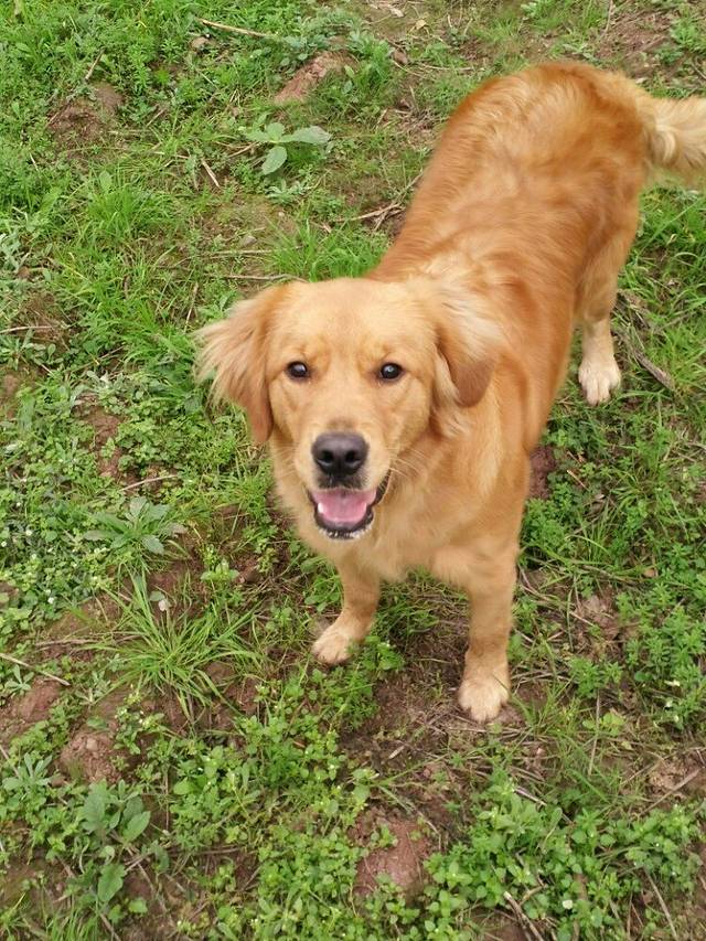 乐山竹园烈士纪念园