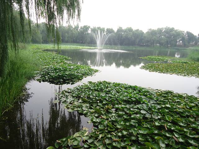 圆明园遗址公园绮春园景区-绮春园门