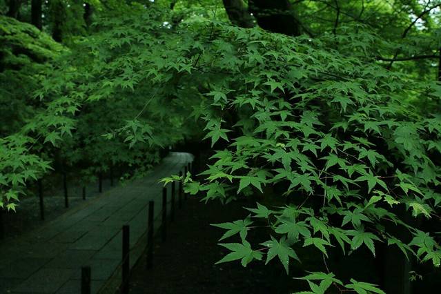 中国吴文化博览园