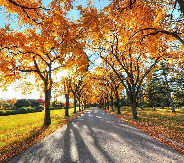 东韩村农民画庄