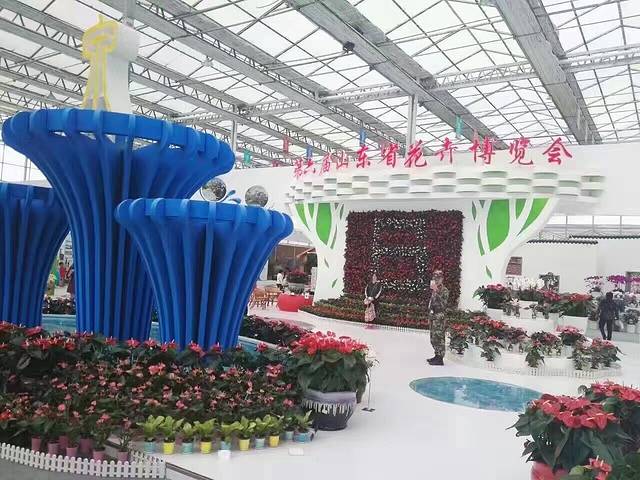 商河花卉苗木大世界(济南花卉园艺博览会)