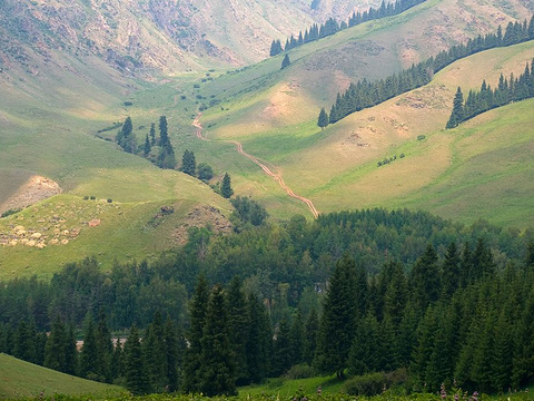 21哈熊沟 旅游攻略 门票 地址 问答 游记点评 乌鲁木齐旅游旅游景点推荐 去哪儿攻略