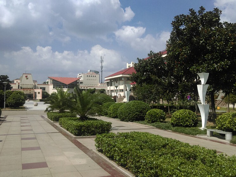 世纪广场旅游景点图片