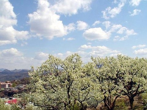 2019大梨树沟-旅游攻略-门票-地址-问答-游记点评,塞罕坝旅游旅游景点