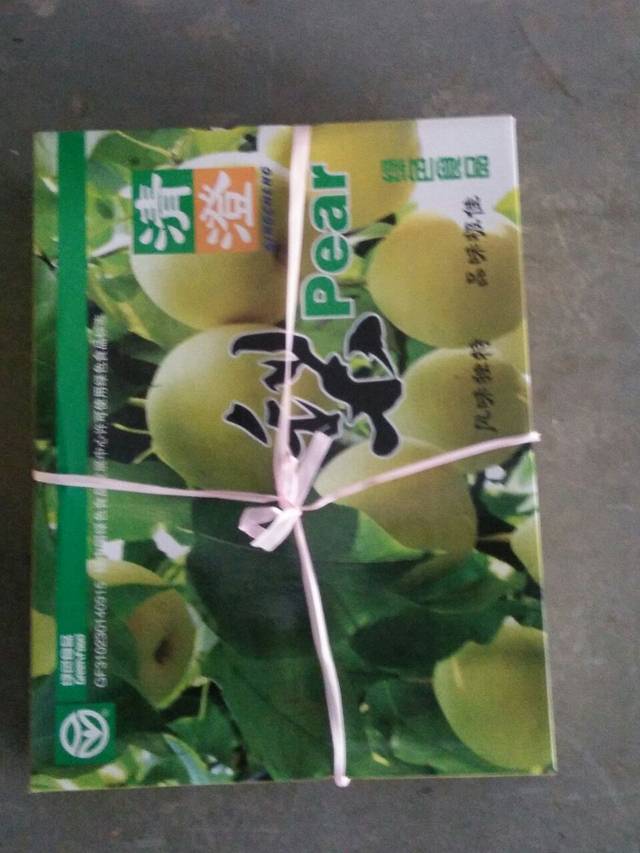 上海国际农展中心