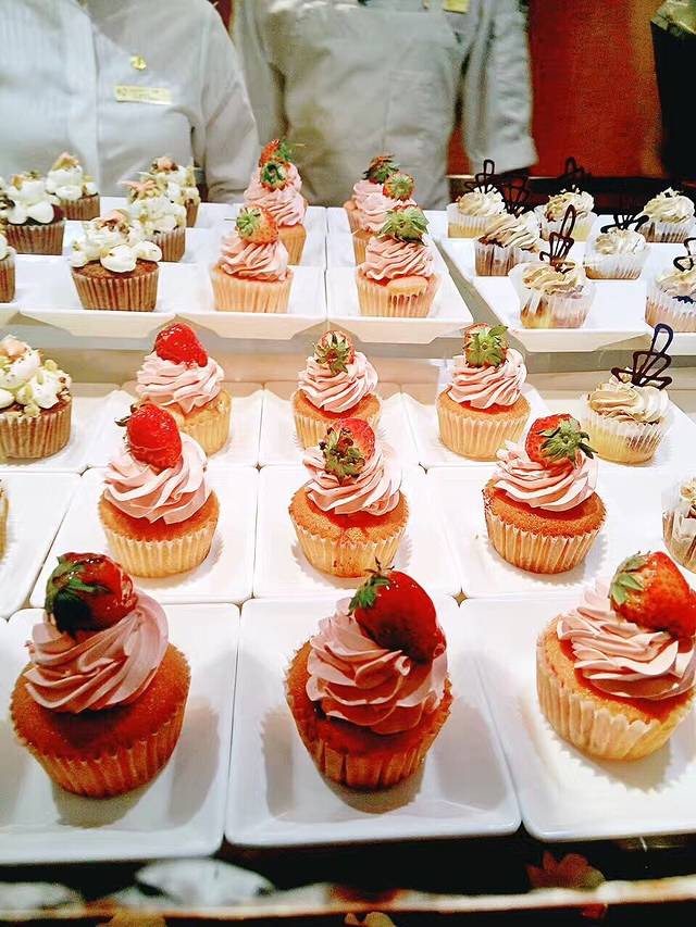 海鸥经典帆船巡游