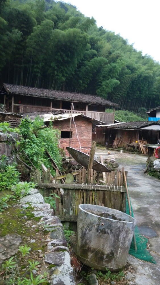 福建龙栖山国家级自然保护区