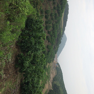 雄风山庄