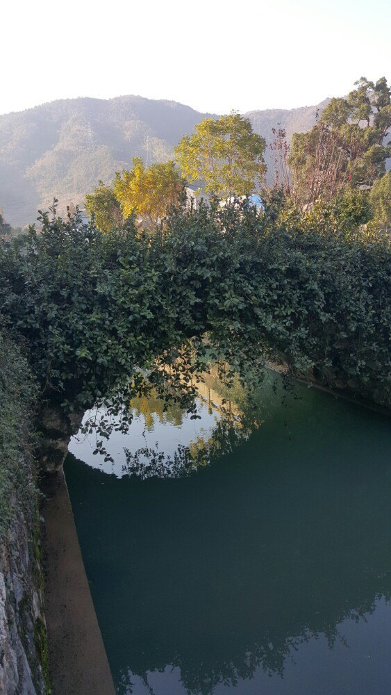 宁波象山才华剪纸艺术馆