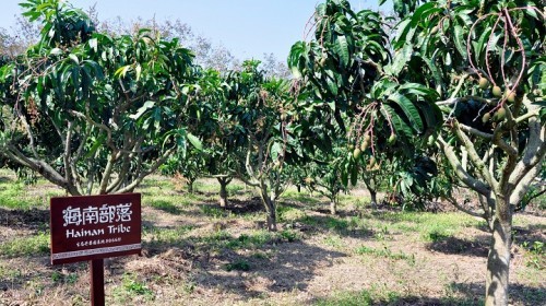 海南部落热带果园