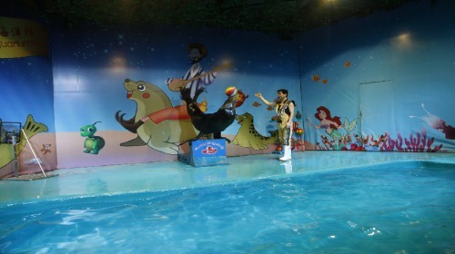 乌鲁木齐海洋馆