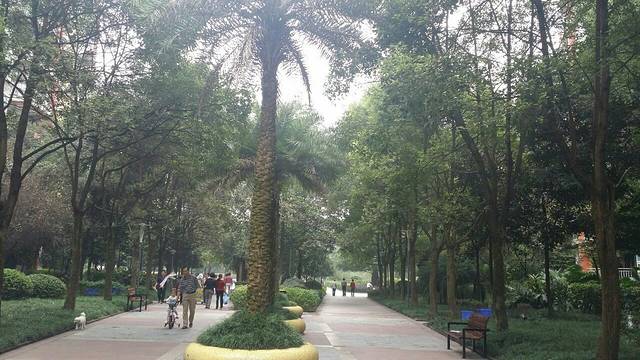 重庆市北碚区商业步行街