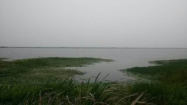 西湖风景区-霁虹桥